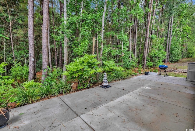 view of patio with a wooded view