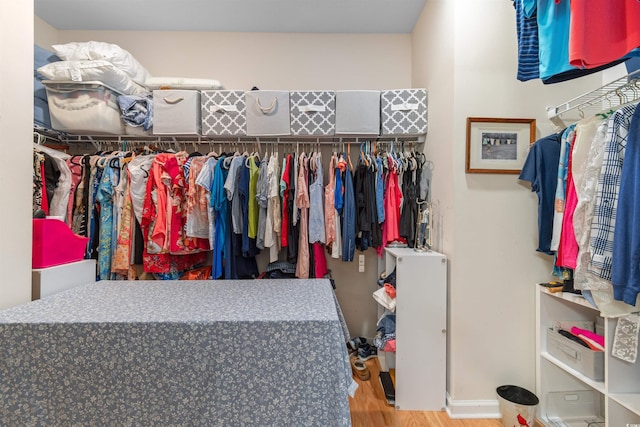 spacious closet featuring wood finished floors