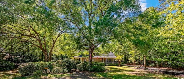 view of yard featuring covered porch and a forest view