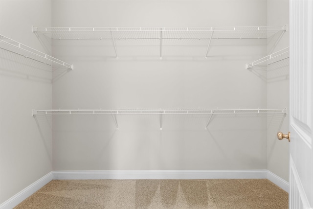 4067 Ridgewood Dr, Conway, SC 29526 - walk in closet with carpet floors
