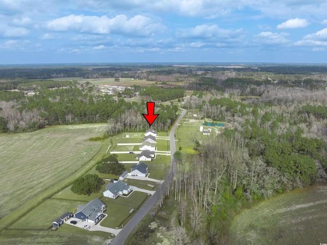 250 Ole Maple St, Loris, SC 29569 - aerial overview of property's location
