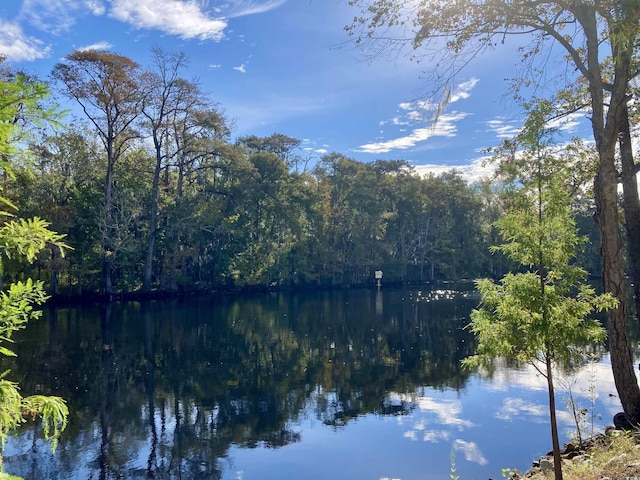 water view with a forest