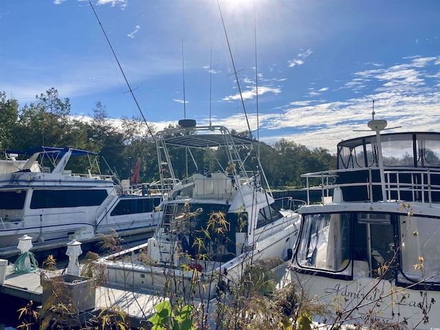 view of dock