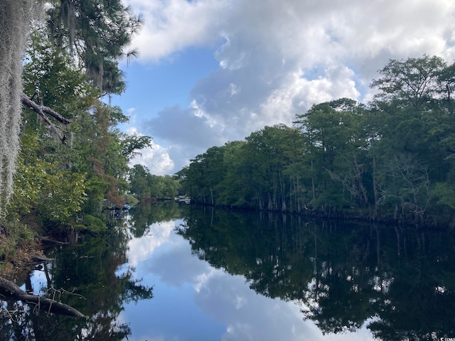 water view with a forest