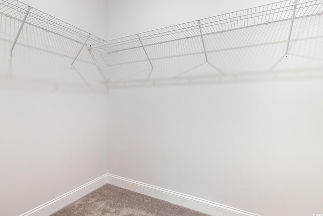 walk in closet with carpet