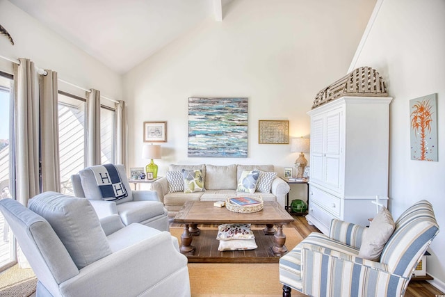 124 Spartina Ct Unit 30, Pawleys Island, SC 29585 - living room featuring high vaulted ceiling and wood finished floors