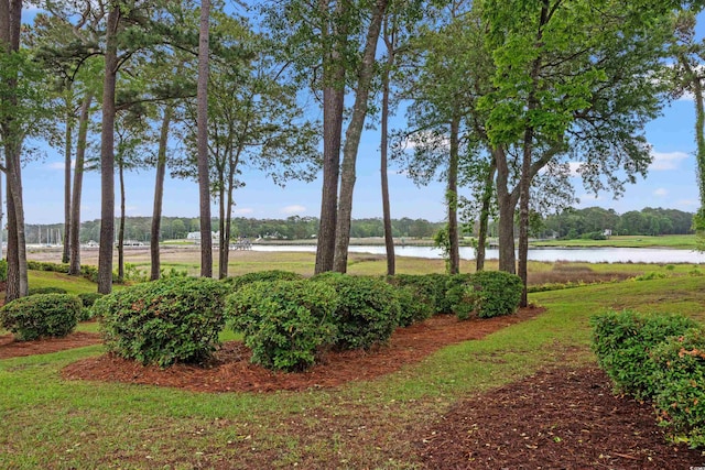 4429 Turtle Ln Unit 3A, Little River, SC 29566 - view of yard featuring a water view