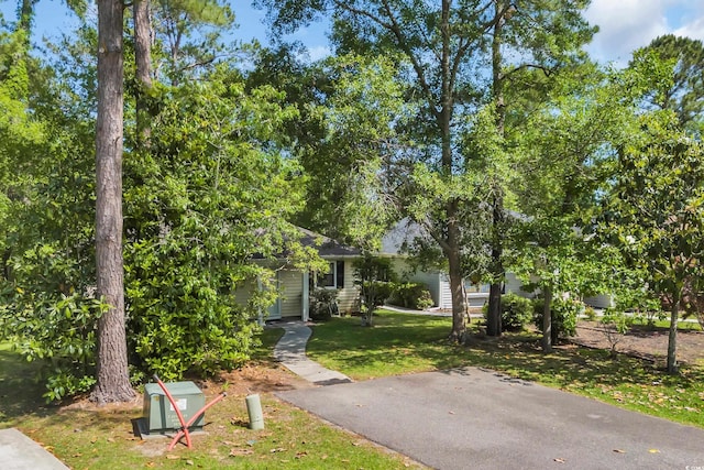 6612 Wintergreen Pt, Myrtle Beach, SC 29588 - view of property hidden behind natural elements featuring a front yard