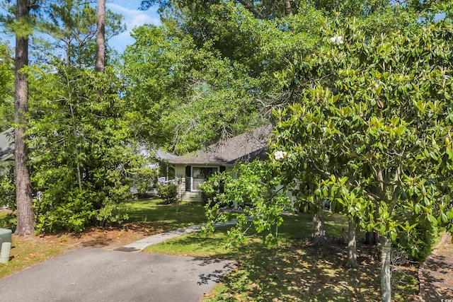 6612 Wintergreen Pt, Myrtle Beach, SC 29588 - view of side of home featuring a yard