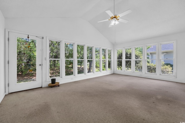 6612 Wintergreen Pt, Myrtle Beach, SC 29588 - unfurnished sunroom with carpet and high vaulted ceiling