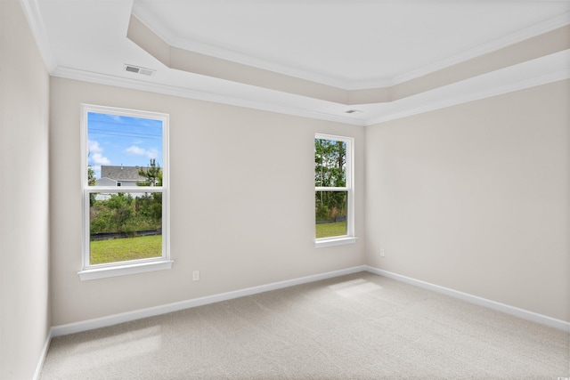 spare room featuring a tray ceiling, ornamental molding, baseboards, and carpet