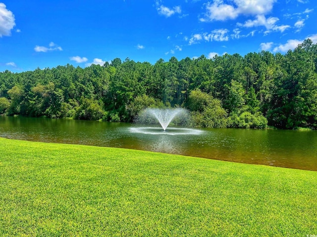 view of water feature