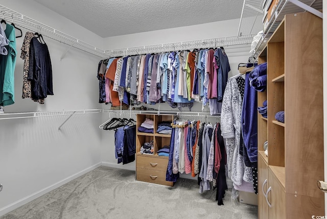 552 Enoree Ct, Myrtle Beach, SC 29588 - walk in closet with carpet