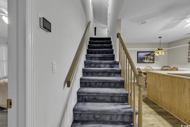 552 Enoree Ct, Myrtle Beach, SC 29588 - stairs with wood finished floors