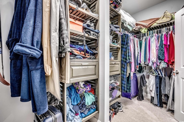 1286 Culbertson Ave, Myrtle Beach, SC 29577 - spacious closet with carpet flooring