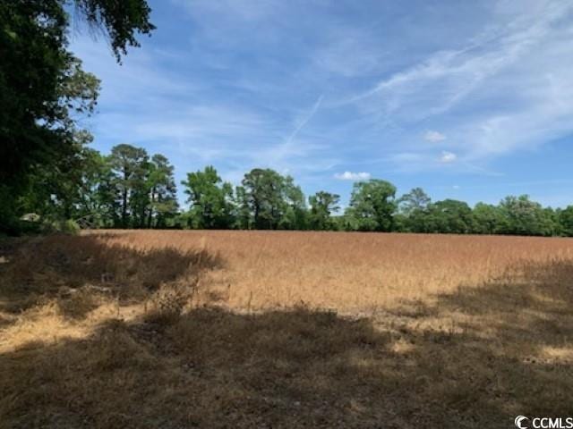 TBDNEAR1195 Cedar Grove Church Rd, Cerro Gordo, NC 28430