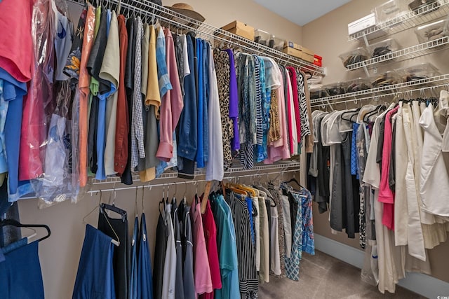 walk in closet with carpet flooring