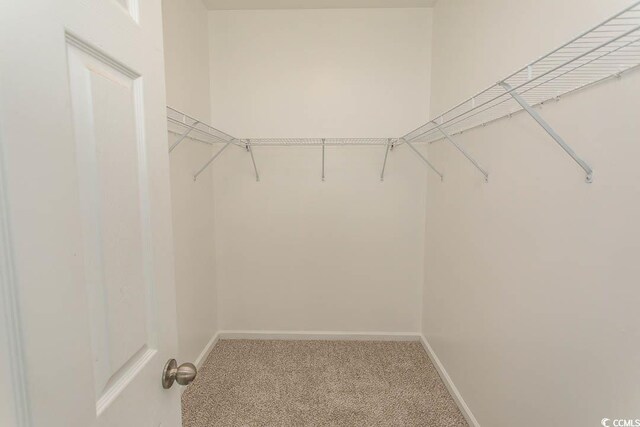 601 Blue Daisy Ct, Loris, SC 29569 - photo 19