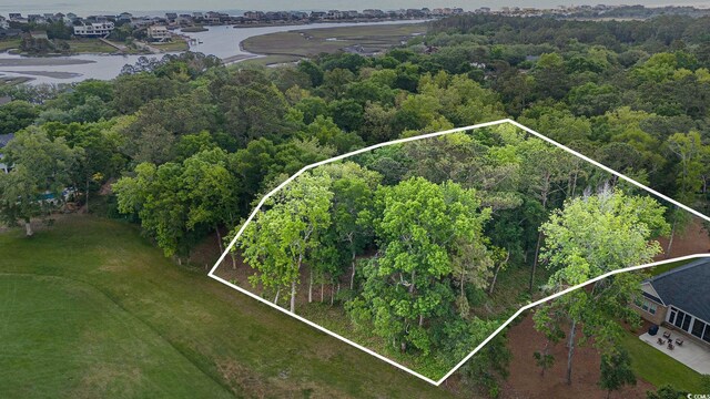 LOT17 Golden Bear Dr, Pawleys Island, SC 29585 - photo 4