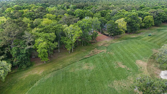 LOT17 Golden Bear Dr, Pawleys Island, SC 29585 - photo 9
