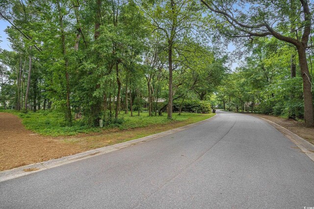 LOT17 Golden Bear Dr, Pawleys Island, SC 29585 - photo 15