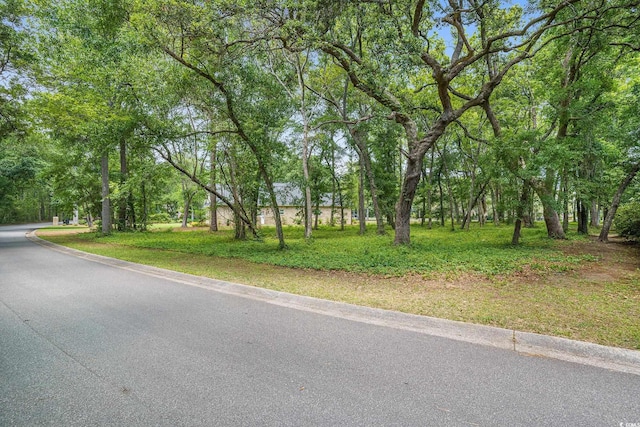 LOT17 Golden Bear Dr, Pawleys Island, SC 29585 - photo 17