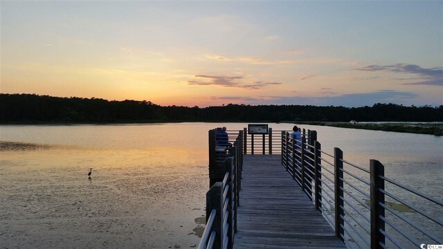LOT17 Golden Bear Dr, Pawleys Island, SC 29585 - photo 22