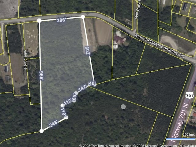 TBA Mount Pisgah Cemetery Rd, Conway, SC 29526 - photo 2