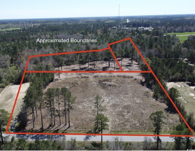 TBA Mount Pisgah Cemetery Rd, Conway, SC 29526 - photo 3