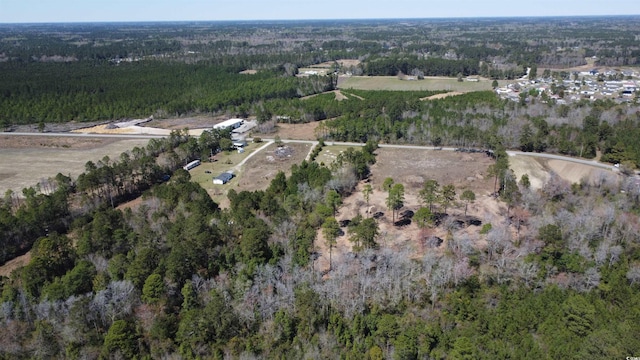 TBA Mount Pisgah Cemetery Rd, Conway, SC 29526 - photo 14