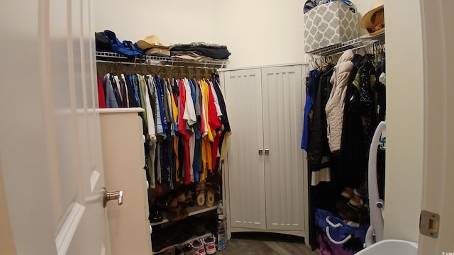 view of walk in closet