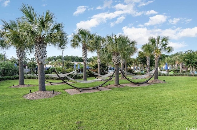 view of property's community with a yard
