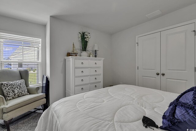 528 Courtridge Loop, Conway, SC 29526 - bedroom with a closet