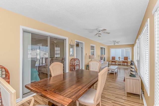 dining space featuring light wood finished floors, a ceiling fan, and a textured ceiling