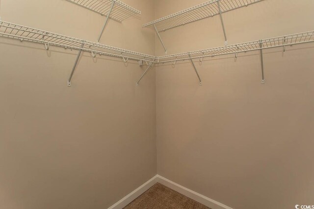 232 Palm Cove Cir, Myrtle Beach, SC 29588 - photo 23