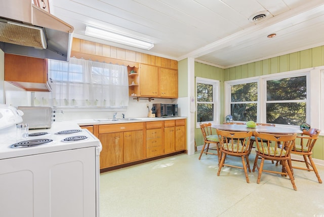 215 28th Ave S, Myrtle Beach, SC 29577 - kitchen featuring white electric stove, under cabinet range hood, a sink, black microwave, and open shelves