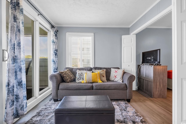 9400 Shore Dr Unit 206, Myrtle Beach, SC 29572 - bedroom with ornamental molding, wood finished floors, and ceiling fan