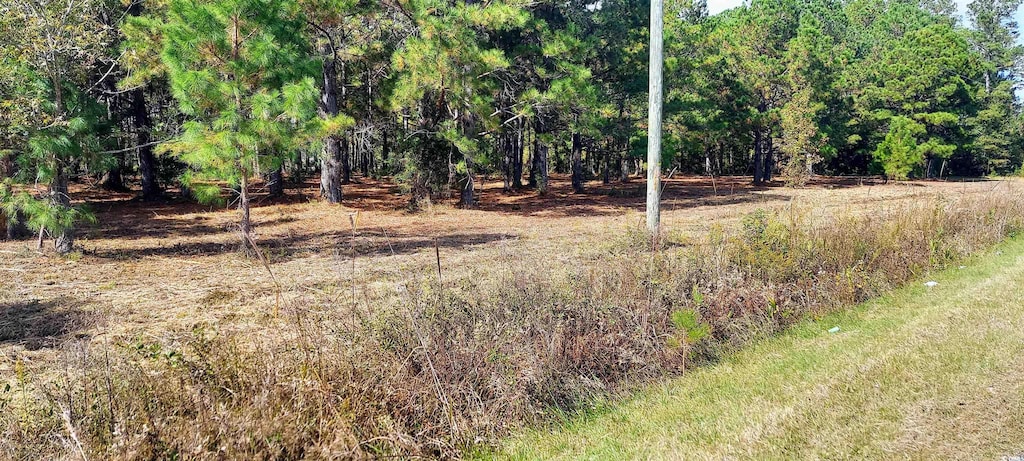 TBD Fowler Rd, Loris, SC 29569 - photo 1