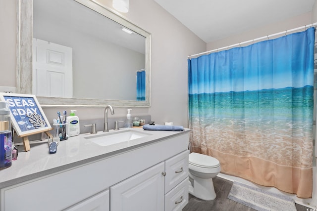 1720 Horry St, Conway, SC 29526 - full bathroom featuring wood finished floors, toilet, vanity, and a shower with curtain