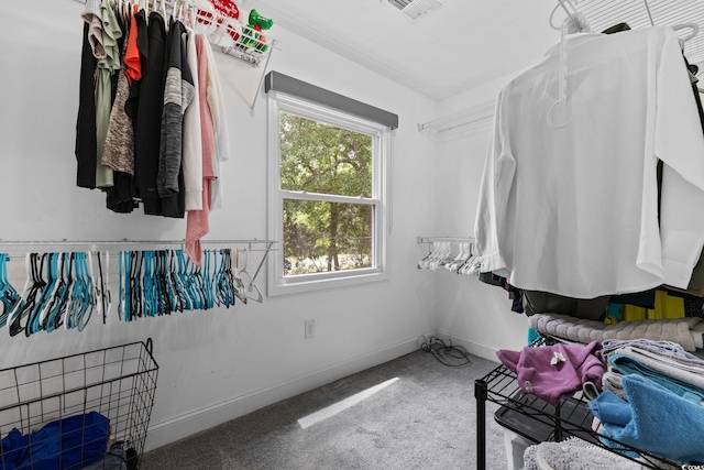 1720 Horry St, Conway, SC 29526 - spacious closet with carpet floors