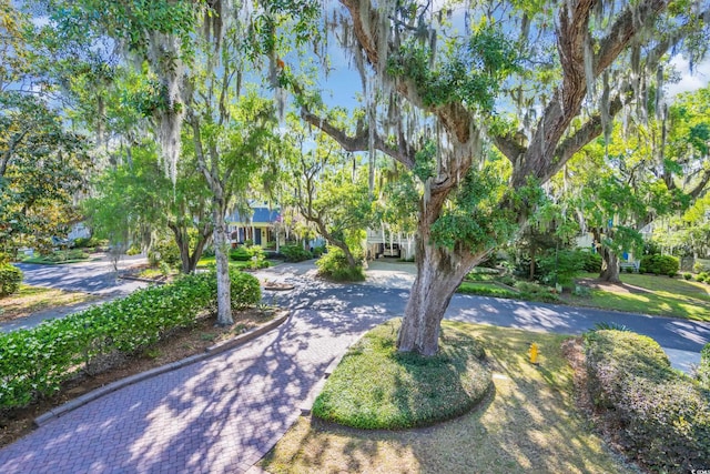 view of property hidden behind natural elements featuring decorative driveway