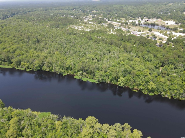 TBD Francis Marion Dr, Georgetown, SC 29440