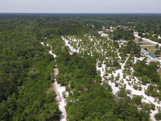 TBD Francis Marion Dr, Georgetown, SC 29440