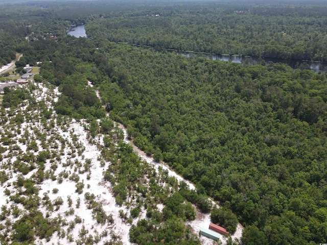 TBD Francis Marion Dr, Georgetown, SC 29440
