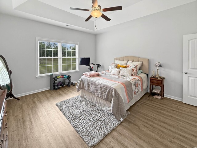 bedroom with a tray ceiling, wood finished floors, multiple windows, and baseboards