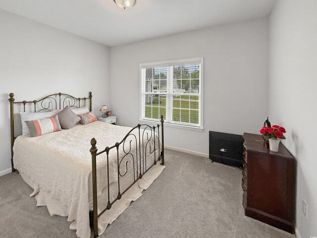 carpeted bedroom featuring baseboards and a closet