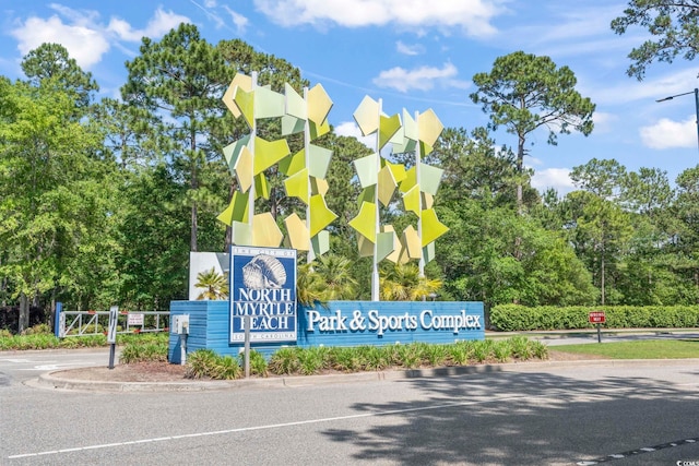 3725 Park Pointe Ave, Little River, SC 29566 - photo 39