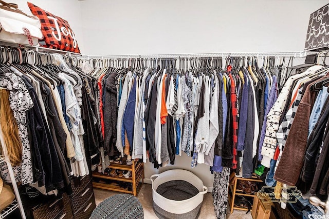 1147 Fairway Ln Unit 1147, Conway, SC 29526 - walk in closet with carpet flooring