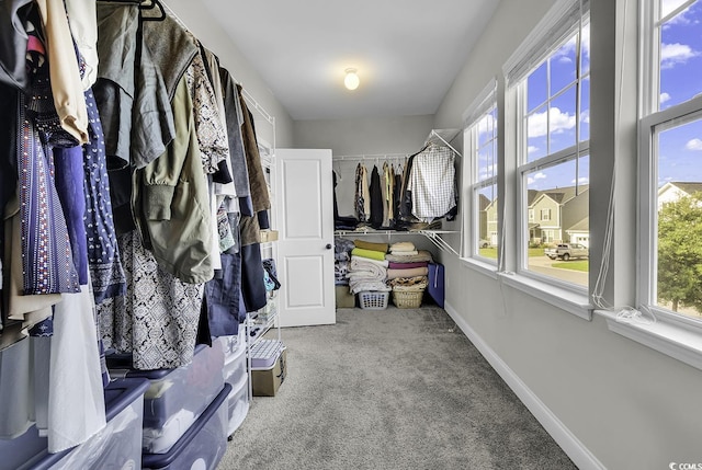 6239 Chadderton Cir, Myrtle Beach, SC 29579 - walk in closet with carpet