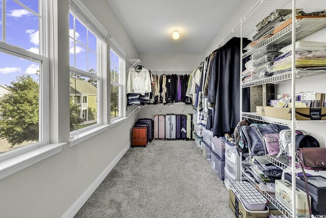 6239 Chadderton Cir, Myrtle Beach, SC 29579 - walk in closet featuring carpet floors